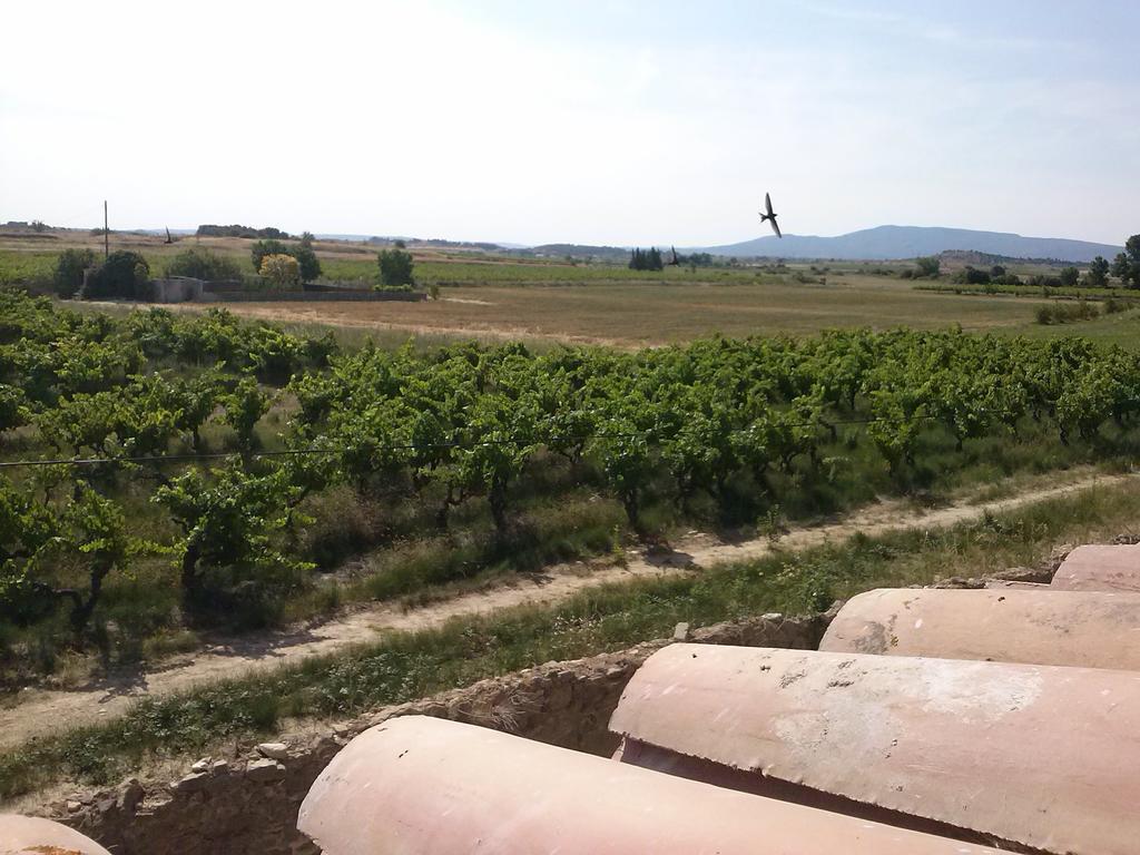 Chambre D'Hotes Le Massanous Laure-Minervois Bilik gambar